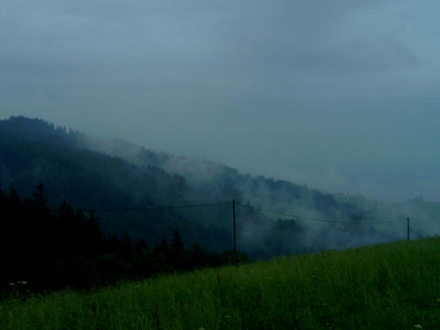 nebel