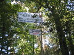 Baumbesetzung gegen die Nordost-Umgehung Darmstadt