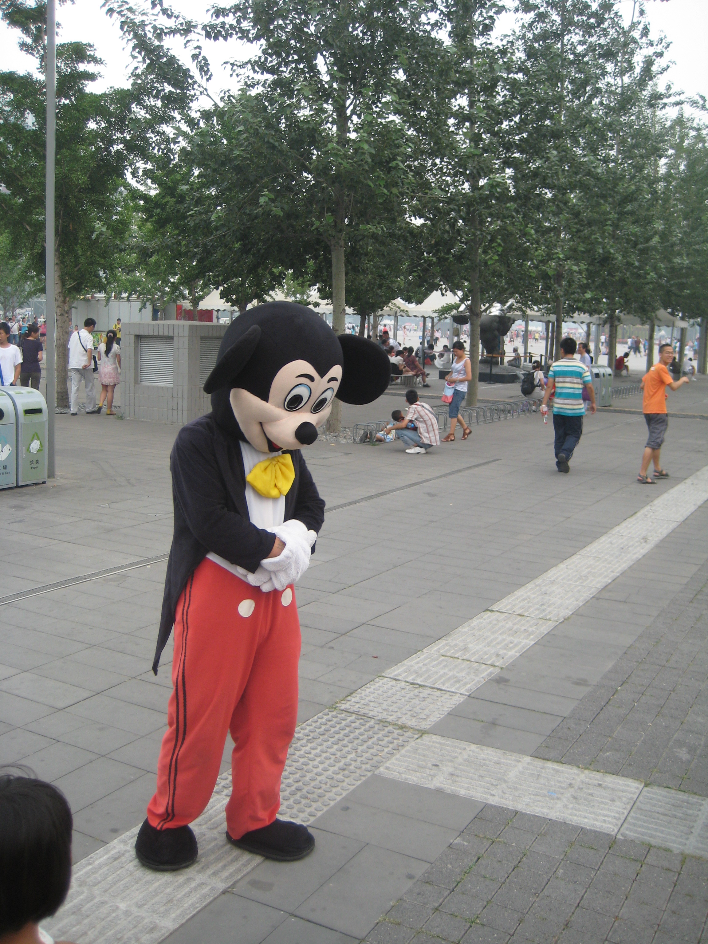 img_2374-mickeymouse-probably-fake